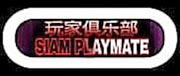 Siam Playmate